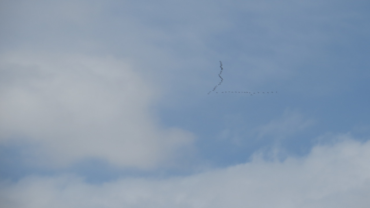 Квадрокоптер над дорогой. Флай арена аэротруба крестовский. V2 надпись. 2 0 летят. Девушка в прыжке.