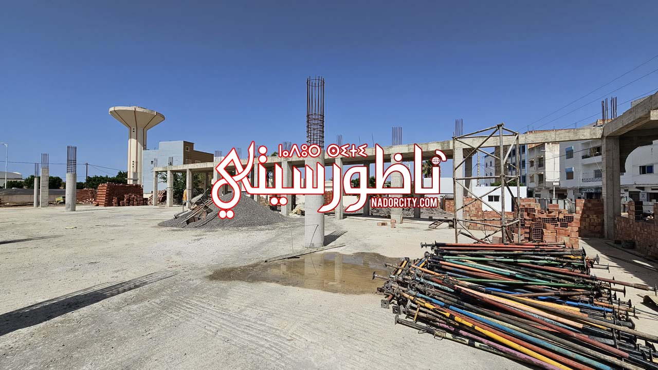 Whats-App-Image-2026-06-28-at-16-51-03-(3)