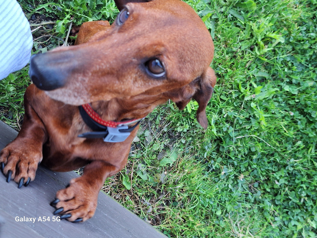 [Image: 20240717-201315-0.jpg]