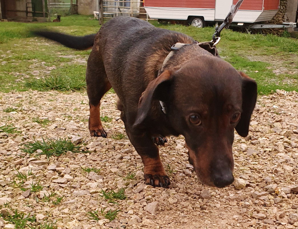 [Image: 20210206-201341.jpg]