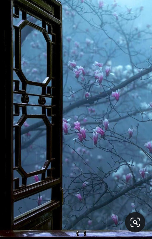 Screenshot_20240331_164841_Pinterest