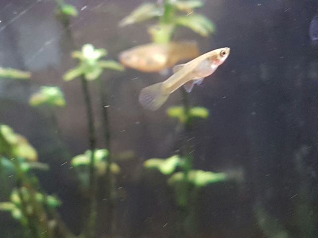 WhatsApp Image 2016-10-17 at 10.16.58 (1)