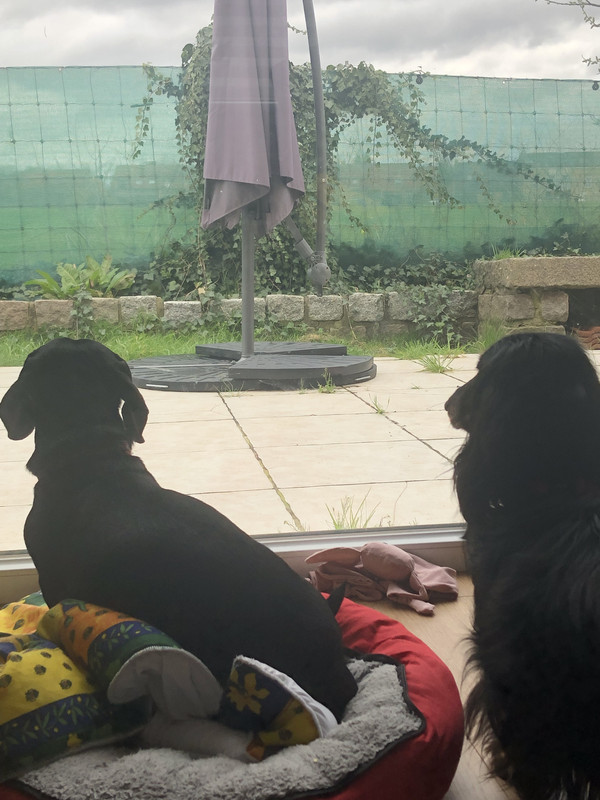 [Image: IMG-1338.jpg]