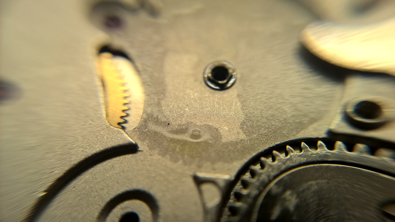 WP_20220307_08_47_24_Pro (копие)