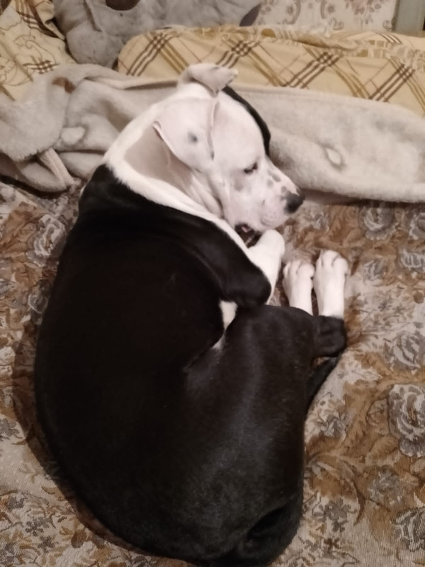 896A8829-1A6F-4F68-A3A8-4C7D405EA2D7