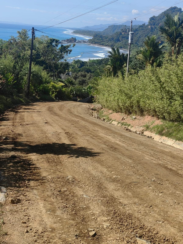 Conformación y compactación