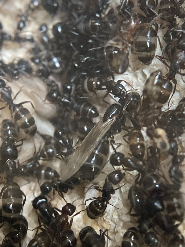 F157FE6E-CB7D-45D5-A998-A0E4CDFB0898