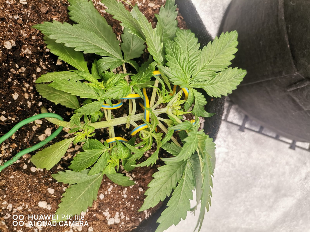 WhatsApp Image 2025-09-23 at 22.01.52 (2)