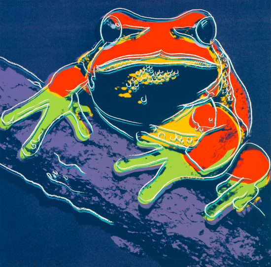 andy warhol tree frog for sale 550x542