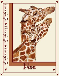 Pam_Giraffe2