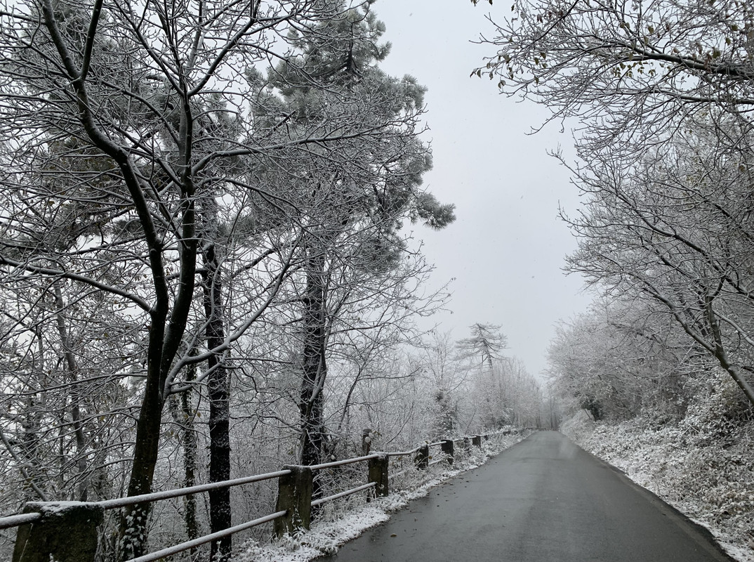 F9511FCC-64C1-4090-AE4A-E17A7AB5E672