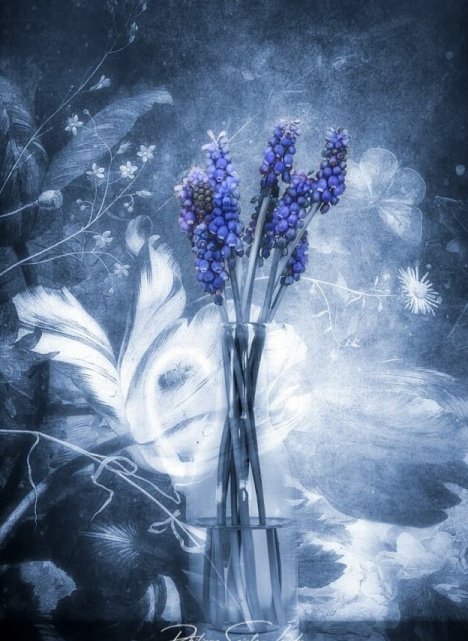 Blue-Poetry.jpg