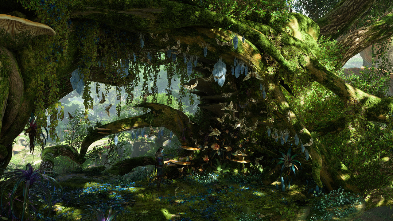 afop 2026 01 10 06 04 20 553