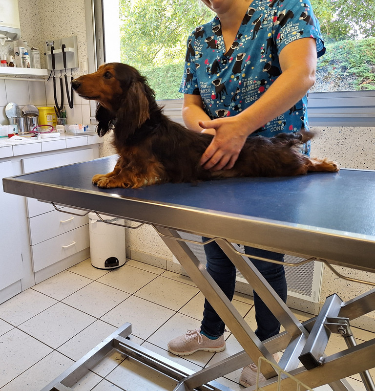 [Image: 20240724-174653.jpg]