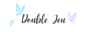 https://i.postimg.cc/cJ3Gy5M1/double-jeu-lancement.png
