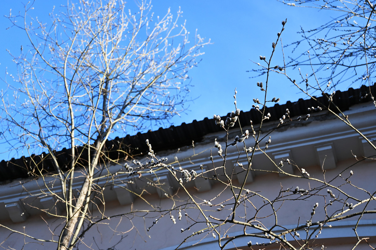 DSC-5522.jpg