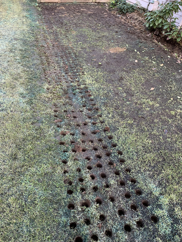 Puddles, puddles, puddles! How can I fix this? Lawn Care Forum