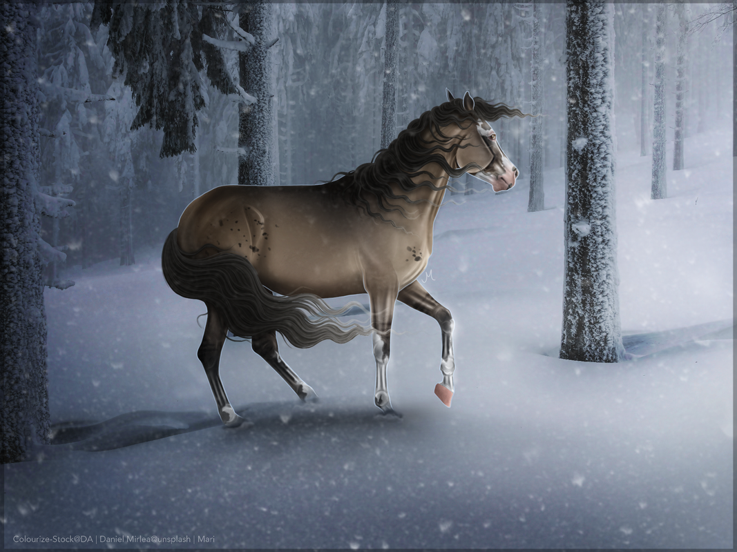 IMG-9319.png
