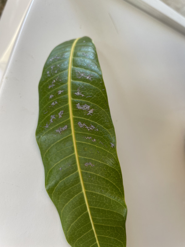 A8602DA9-B203-41F0-AF48-4DE195F3DD27