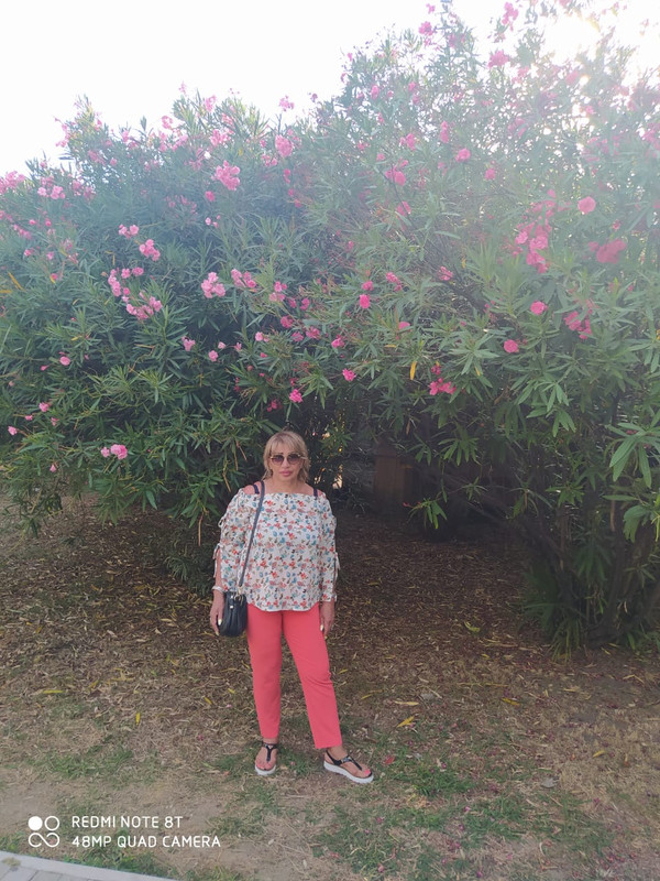 3E0B488B-166A-4167-BC9D-F6262D1497BB