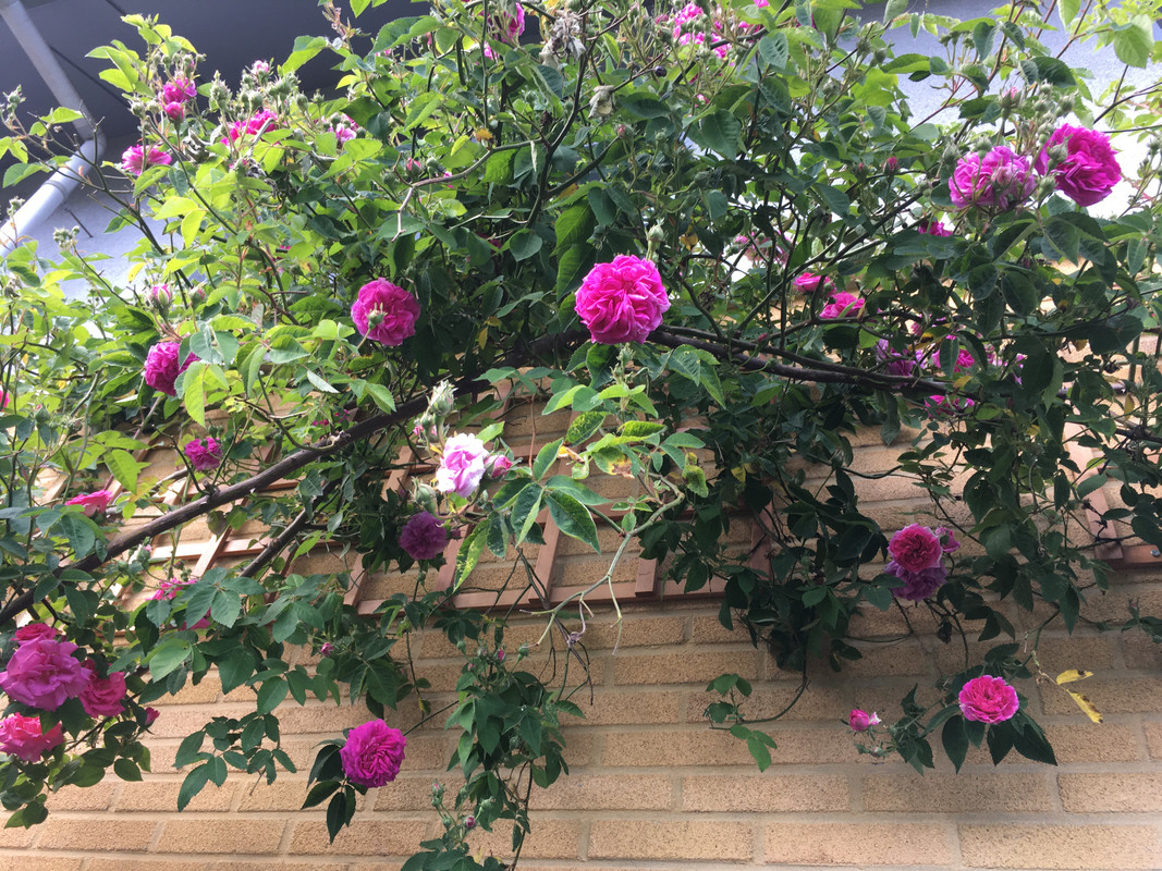 C30FC9D4-AD65-46F1-82BC-55E03BD12E06