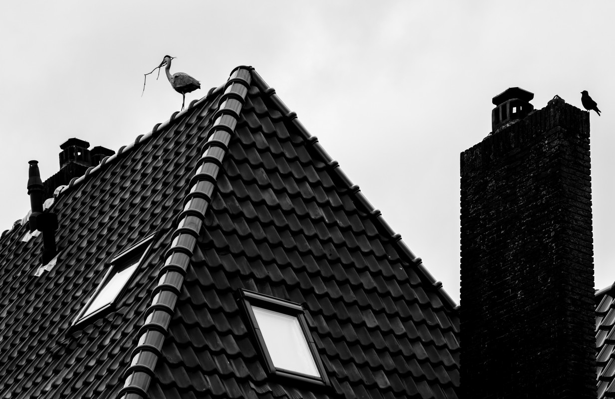 Fotografie