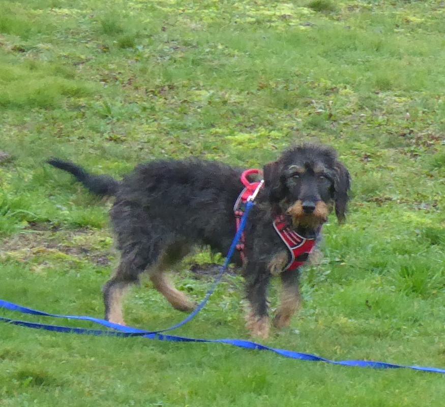 [Image: P1040460.jpg]