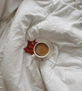 vartotojo �kelta nuotrauka