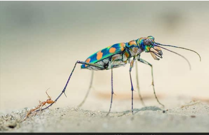 Screenshot-2020-11-23-15-08-01-068-org-m