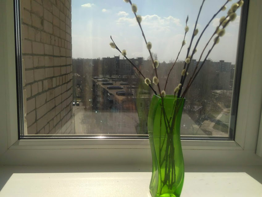 IMG-2019-04-21-120723.jpg