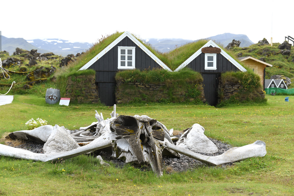 Oeste y centro: Arena y ceniza - Iceland, Las fuerzas de la naturaleza (2021) (8)