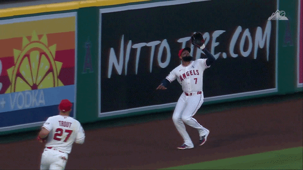 [Image: 76dbc416dd634fe2a241b8aec37ab1a0-adell-canseco.gif]