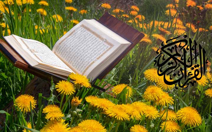 কুরআন পড়ুন বুঝে পড়ুন, কুরআন দিয়ে জীবন গড়ুন