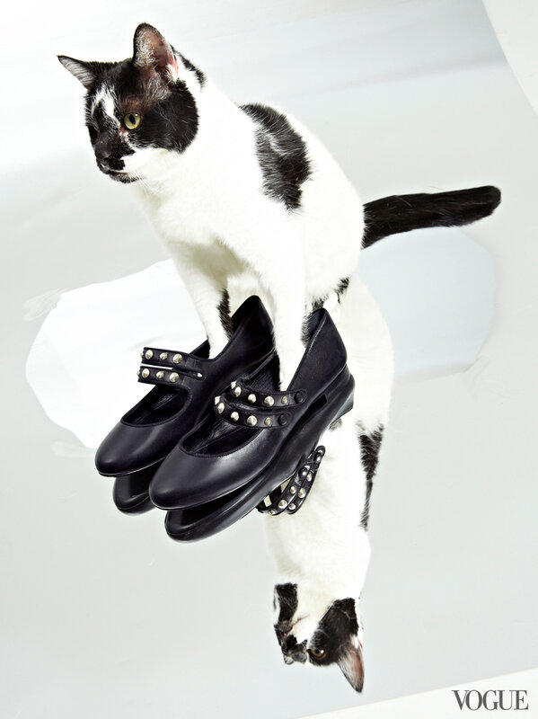 cats-kittens-flats-shoes-13-161858598560