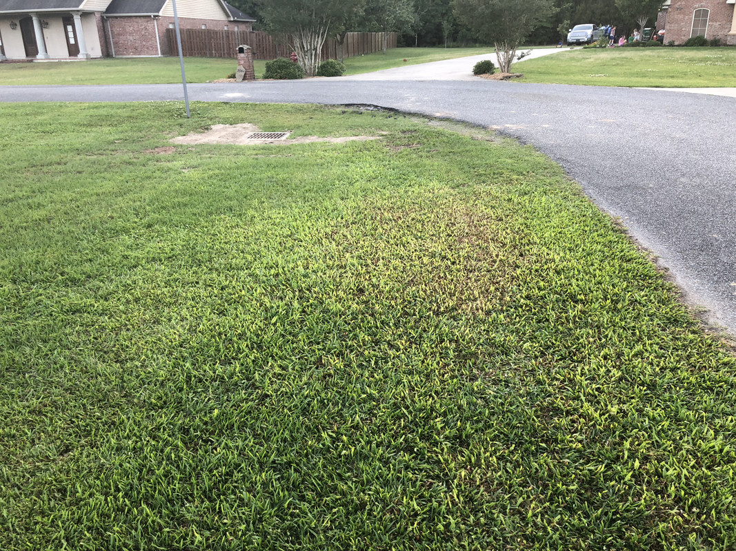 5E00650E-A76E-410A-BB77-8CA25BF1B16D