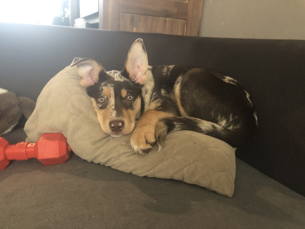 D60DB971-DC3A-4DDA-A81E-0FEB39F2A9D5