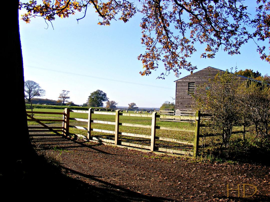 Farm-lane-HD.jpg