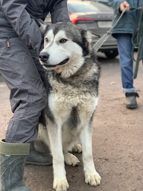 B280BC8B-2D34-4F96-9EAA-CEDF9EB1D201