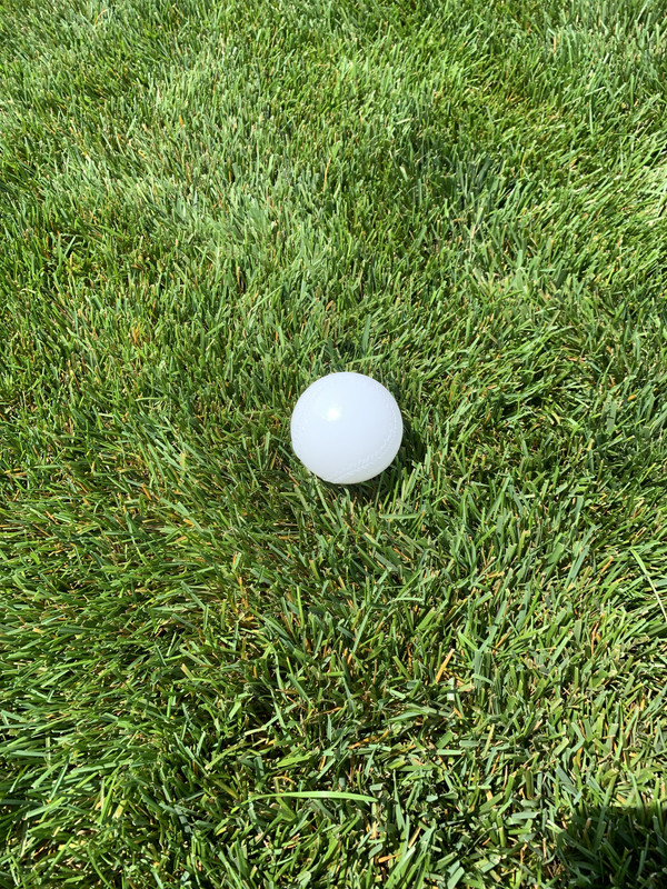 A9049F56-22CC-4A13-8484-D5BBC865191A