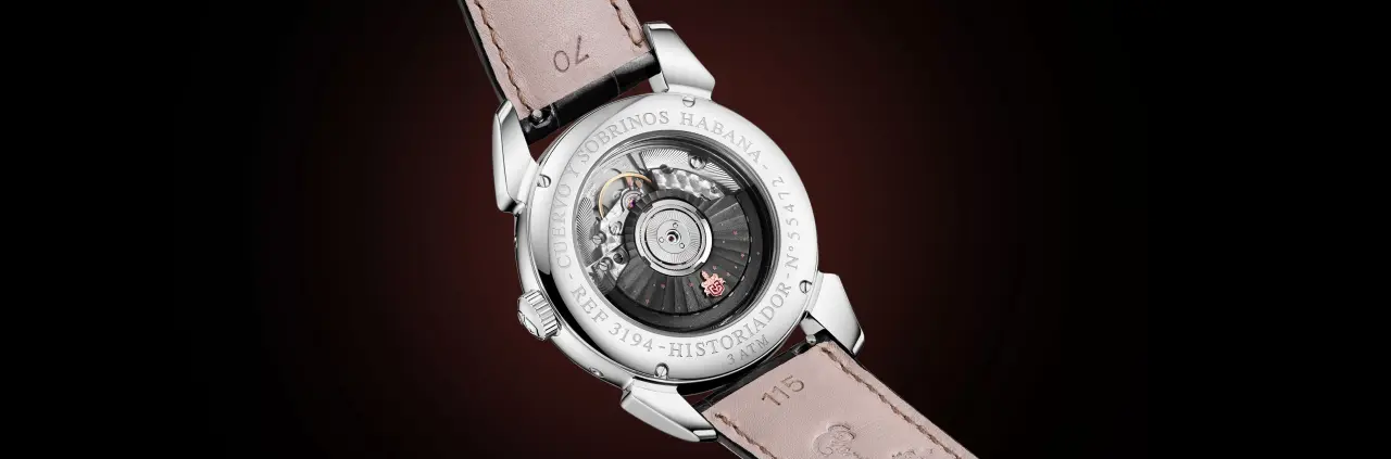 3194-1DL---Backcase-Master-Web