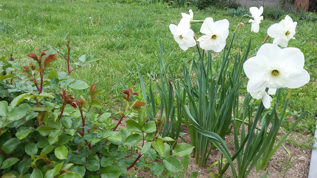 20190420_131844