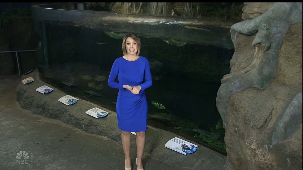 11.07 - 15.00.00 - Earth Odyssey With Dylan Dreyer. The world's smart....ts_snapshot_00.14.45.144