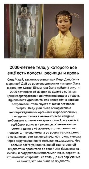 [Изображение: 81433c0ecc3ef54bdebf0aaaf3f5084f.jpg]