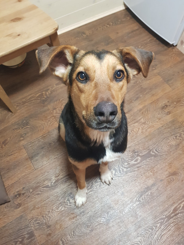 IMG-3f66c241e579bcdad130e287f51477f9-V