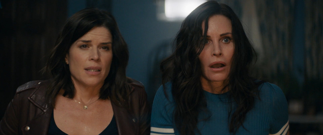 Scream Part 5 2022 BluRay [Hindi + English] 1080p 480p 720p ESub Screenshot