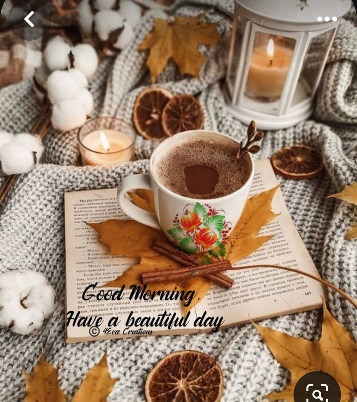 Screenshot_20230905_020058_Pinterest