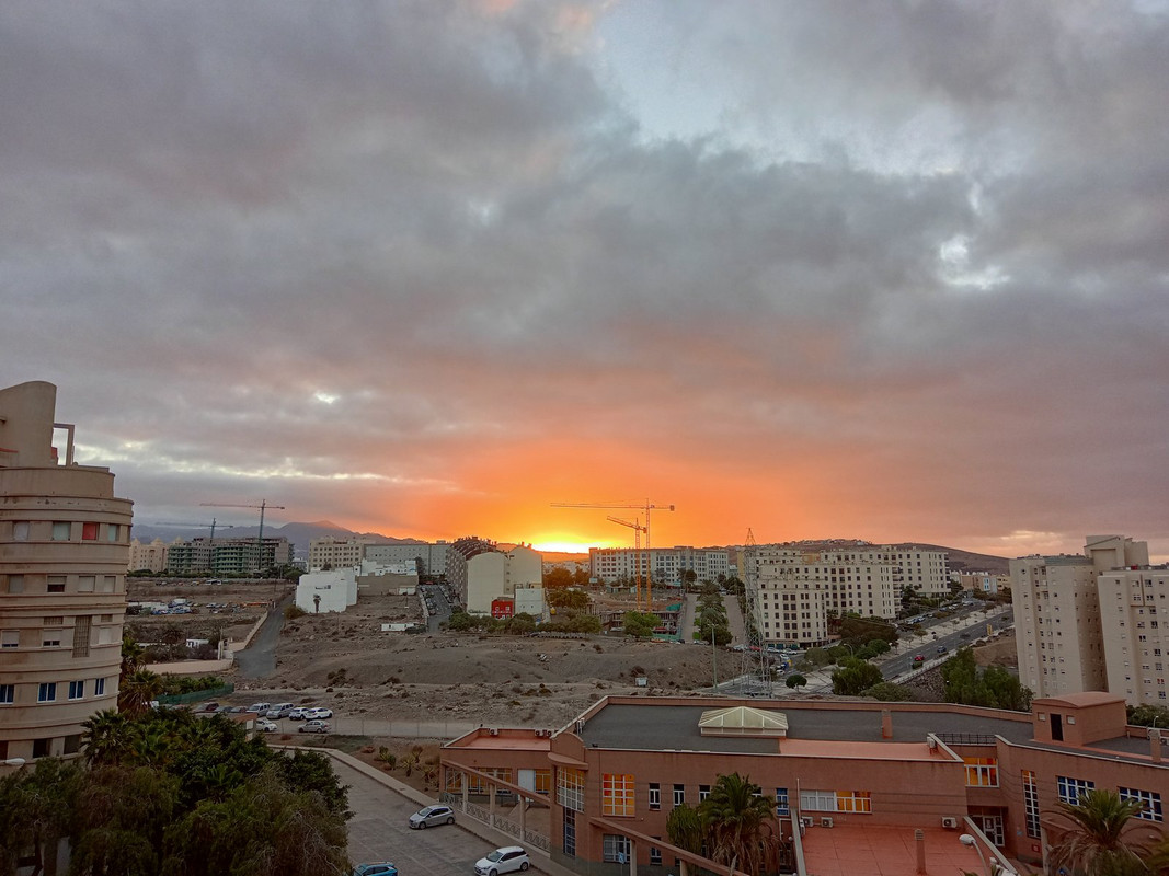 IMG20240929194108_01 (1)