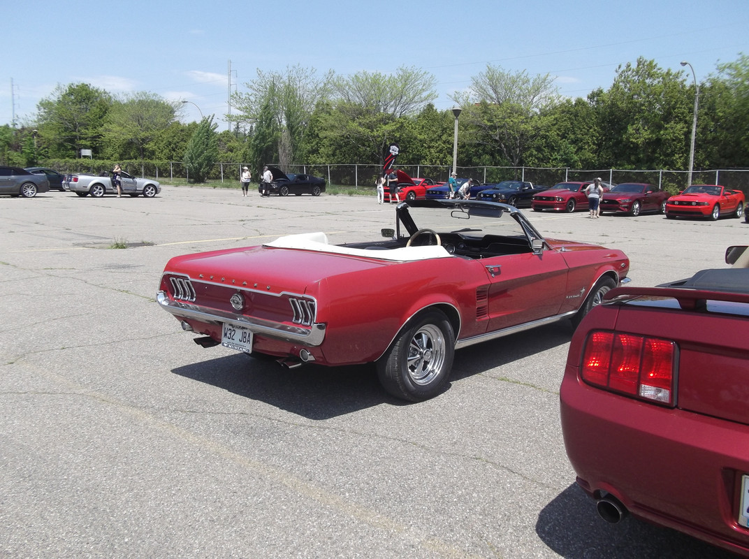 Activité 2023: Bénédiction des Mustang le 28 mai 2023 1967-rouge-1