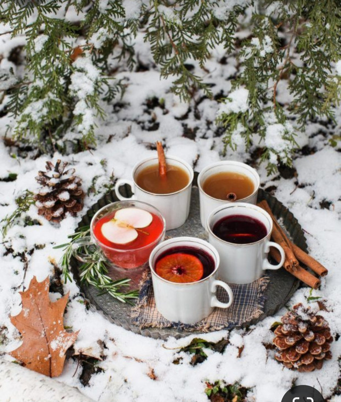 Screenshot_20231210_231012_Pinterest