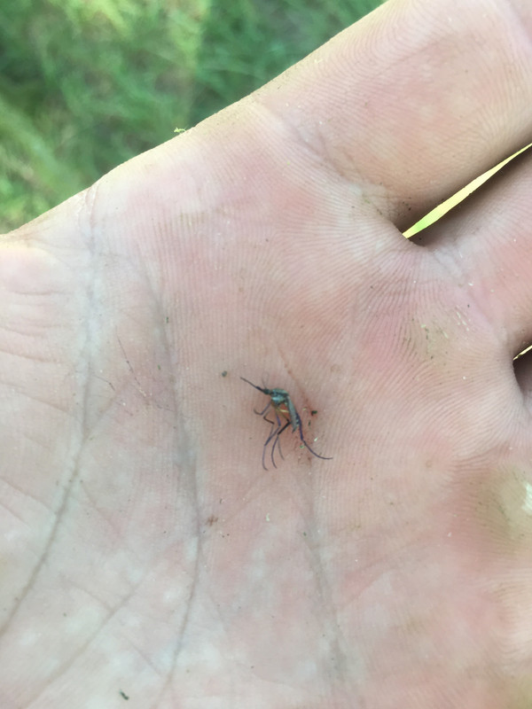 5FC3F0AA-9327-41B6-82B8-577910A547B1